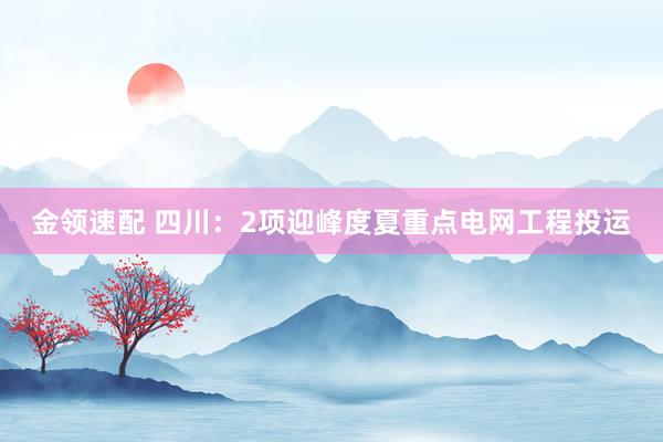 金领速配 四川：2项迎峰度夏重点电网工程投运
