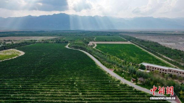 数魅优配 宁夏贺兰山东麓葡萄酒进入澳大利亚市场