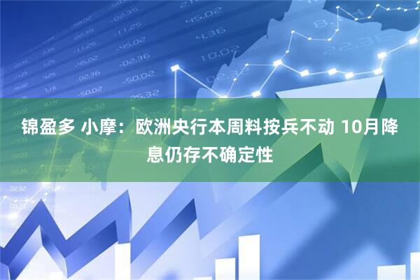 锦盈多 小摩：欧洲央行本周料按兵不动 10月降息仍存不确定性